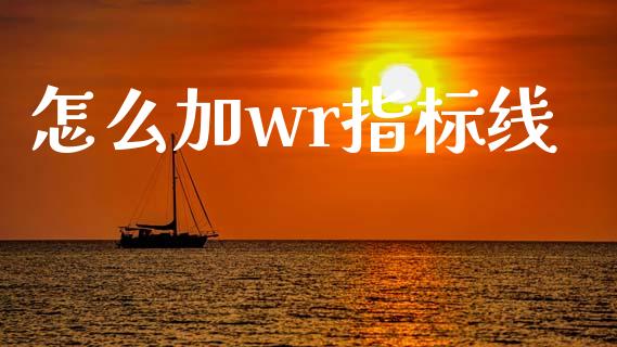 怎么加wr指标线_https://www.fcdydaikuan.com_德指期货直播_第1张