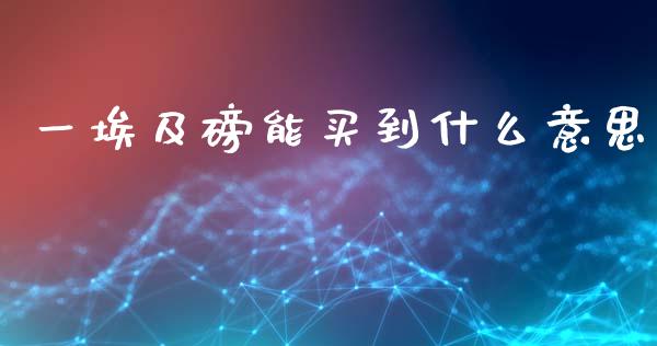 一埃及磅能买到什么意思_https://www.fcdydaikuan.com_黄金期货直播_第1张