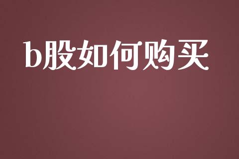 b股如何购买_https://www.fcdydaikuan.com_恒生指数直播室_第1张