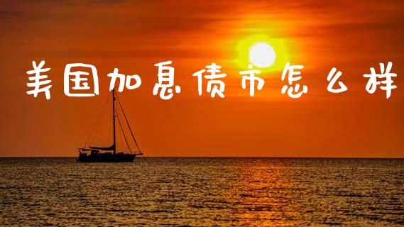美国加息债市怎么样_https://www.fcdydaikuan.com_德指期货直播_第1张