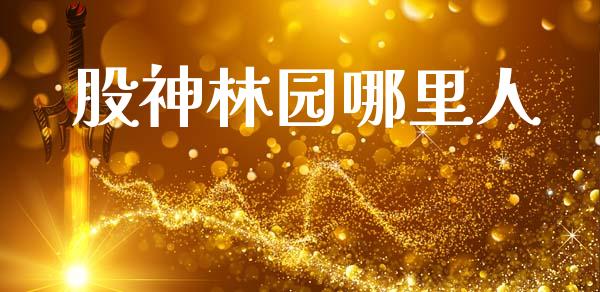 股神林园哪里人_https://www.fcdydaikuan.com_德指期货直播_第1张