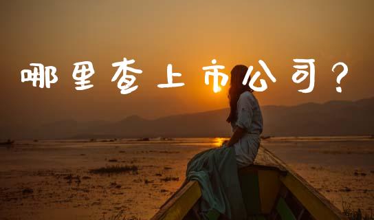 哪里查上市公司？_https://www.fcdydaikuan.com_德指期货直播_第1张