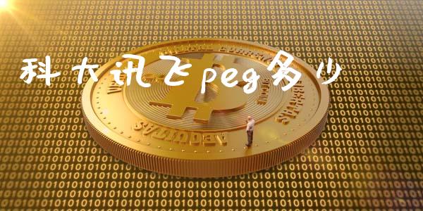 科大讯飞peg多少_https://www.fcdydaikuan.com_黄金期货直播_第1张