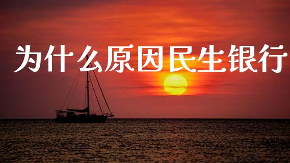 为什么原因民生银行_https://www.fcdydaikuan.com_德指期货直播_第1张