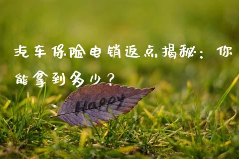 汽车保险电销返点揭秘：你能拿到多少？_https://www.fcdydaikuan.com_恒指期货直播_第1张