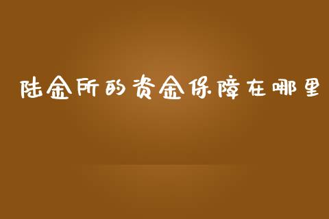 陆金所的资金保障在哪里_https://www.fcdydaikuan.com_恒指期货直播_第1张