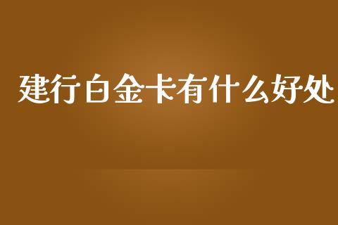 建行白金卡有什么好处_https://www.fcdydaikuan.com_恒指期货直播_第1张