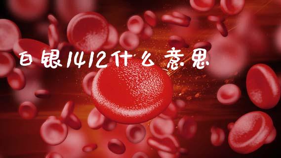 白银1412什么意思_https://www.fcdydaikuan.com_恒指期货直播_第1张