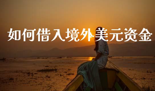 如何借入境外美元资金_https://www.fcdydaikuan.com_恒指期货直播_第1张