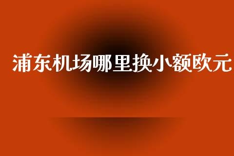 浦东机场哪里换小额欧元_https://www.fcdydaikuan.com_恒指期货直播_第1张