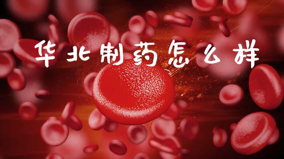 华北制药怎么样_https://www.fcdydaikuan.com_黄金期货直播_第1张
