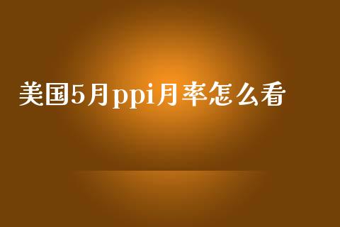 美国5月ppi月率怎么看_https://www.fcdydaikuan.com_恒指期货直播_第1张