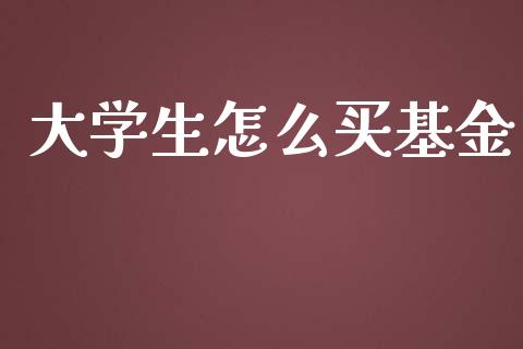 大学生怎么买基金_https://www.fcdydaikuan.com_恒指期货直播_第1张