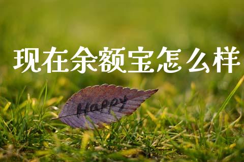 现在余额宝怎么样_https://www.fcdydaikuan.com_德指期货直播_第1张