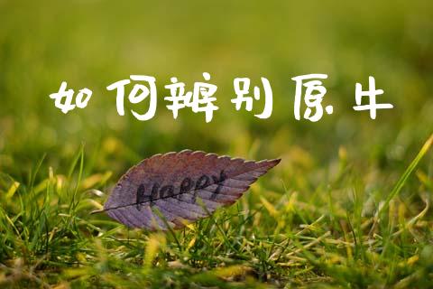如何辨别原牛_德指期货直播_第1张_恒生指数直播室_恒指期货直播_德指期货直播_黄金期货直播 如何辨别原牛_https://www.fcdydaikuan.com_德指期货直播_第1张