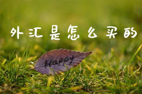 外汇是怎么买的_https://www.fcdydaikuan.com_黄金期货直播_第1张