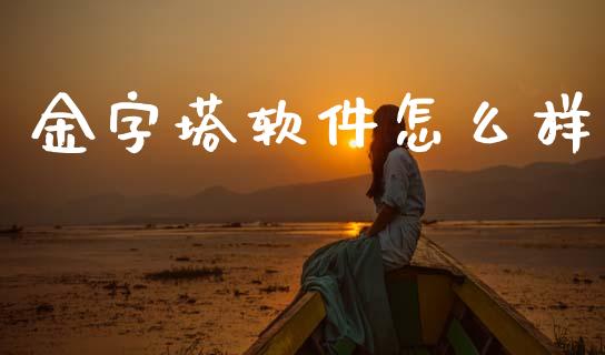 金字塔软件怎么样_https://www.fcdydaikuan.com_德指期货直播_第1张