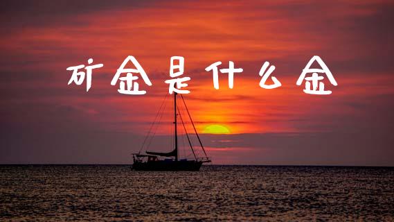 矿金是什么金_https://www.fcdydaikuan.com_黄金期货直播_第1张