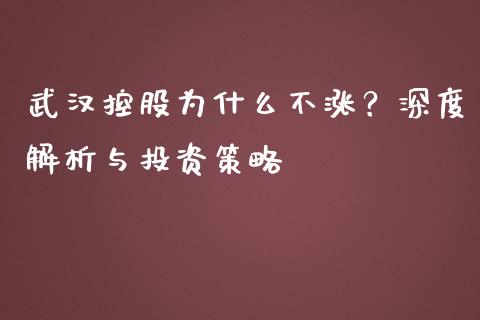 武汉控股为什么不涨？深度解析与投资策略_https://www.fcdydaikuan.com_黄金期货直播_第1张