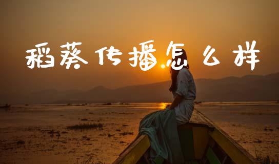 稻葵传播怎么样_https://www.fcdydaikuan.com_恒指期货直播_第1张