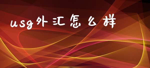 usg外汇怎么样_https://www.fcdydaikuan.com_恒指期货直播_第1张