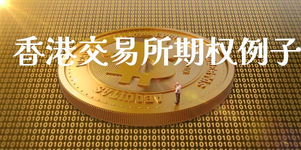 香港交易所期权例子_https://www.fcdydaikuan.com_德指期货直播_第1张