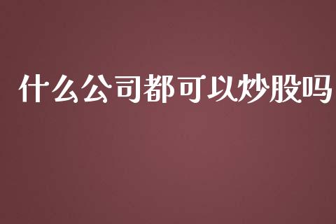 什么公司都可以炒股吗_https://www.fcdydaikuan.com_德指期货直播_第1张