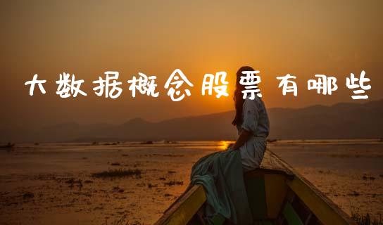 大数据概念股票有哪些_https://www.fcdydaikuan.com_恒指期货直播_第1张