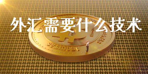 外汇需要什么技术_https://www.fcdydaikuan.com_恒生指数直播室_第1张