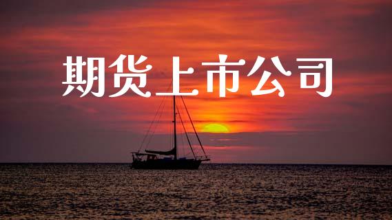 期货上市公司_https://www.fcdydaikuan.com_恒指期货直播_第1张