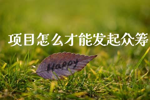 项目怎么才能发起众筹_https://www.fcdydaikuan.com_恒生指数直播室_第1张