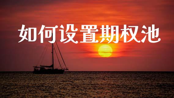 如何设置期权池_https://www.fcdydaikuan.com_恒指期货直播_第1张