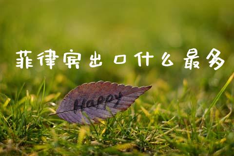 菲律宾出口什么最多_https://www.fcdydaikuan.com_德指期货直播_第1张
