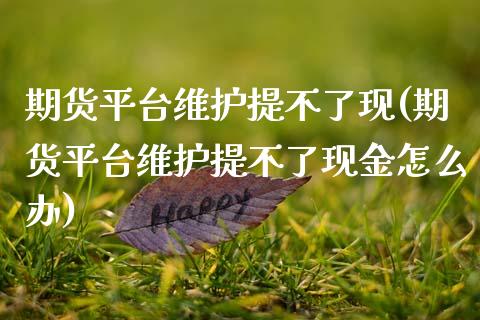 期货平台维护提不了现(期货平台维护提不了现金怎么办)_https://www.fcdydaikuan.com_黄金期货直播_第1张