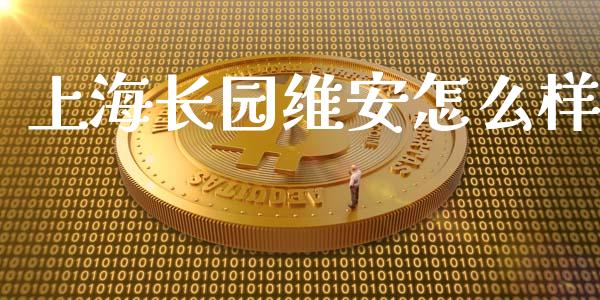 上海长园维安怎么样_https://www.fcdydaikuan.com_德指期货直播_第1张
