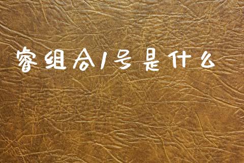 睿组合1号是什么_https://www.fcdydaikuan.com_德指期货直播_第1张
