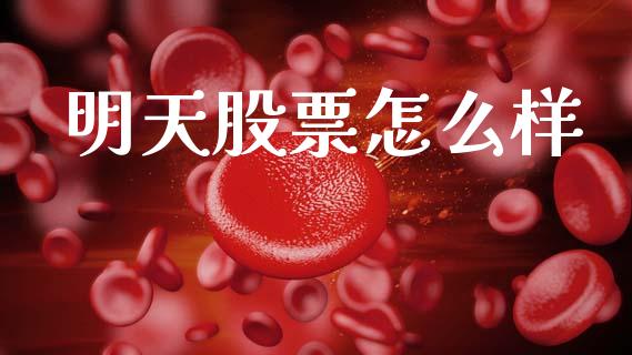 明天股票怎么样_https://www.fcdydaikuan.com_恒指期货直播_第1张