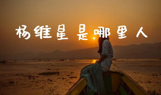 杨维星是哪里人_https://www.fcdydaikuan.com_恒生指数直播室_第1张