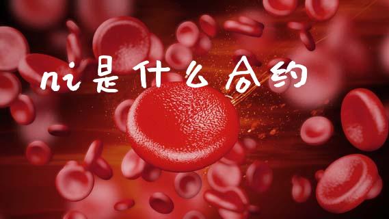 ni是什么合约_https://www.fcdydaikuan.com_恒指期货直播_第1张