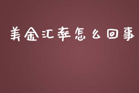 美金汇率怎么回事_https://www.fcdydaikuan.com_恒生指数直播室_第1张