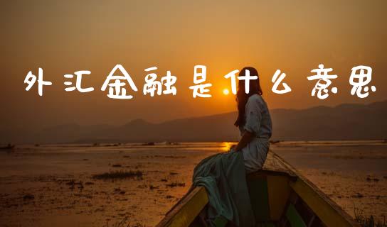 外汇金融是什么意思_https://www.fcdydaikuan.com_恒生指数直播室_第1张