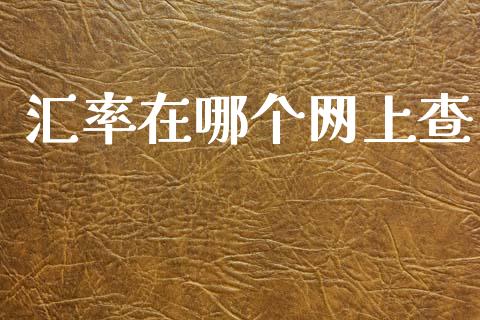 汇率在哪个网上查_https://www.fcdydaikuan.com_恒指期货直播_第1张