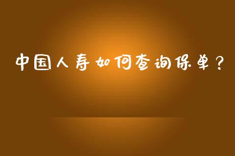 中国人寿如何查询保单？_https://www.fcdydaikuan.com_德指期货直播_第1张