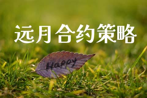 远月合约策略_https://www.fcdydaikuan.com_恒指期货直播_第1张
