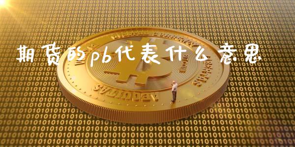 期货的pb代表什么意思_https://www.fcdydaikuan.com_恒指期货直播_第1张