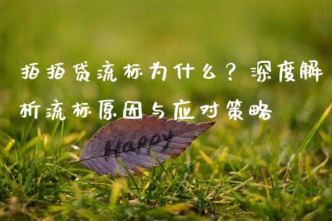 拍拍贷流标为什么？深度解析流标原因与应对策略_https://www.fcdydaikuan.com_黄金期货直播_第1张