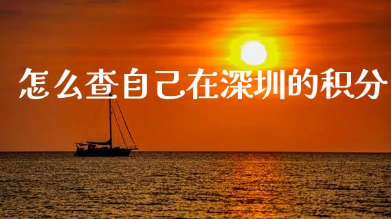 怎么查自己在深圳的积分_https://www.fcdydaikuan.com_德指期货直播_第1张