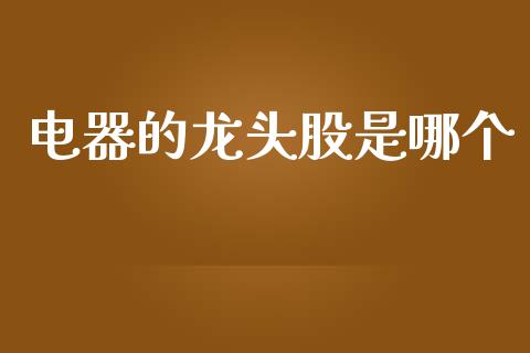 电器的龙头股是哪个_https://www.fcdydaikuan.com_恒生指数直播室_第1张