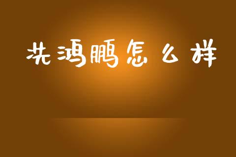 冼鸿鹏怎么样_https://www.fcdydaikuan.com_德指期货直播_第1张