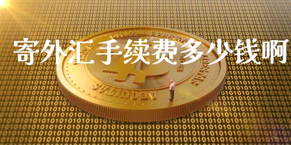 寄外汇手续费多少钱啊_https://www.fcdydaikuan.com_恒指期货直播_第1张